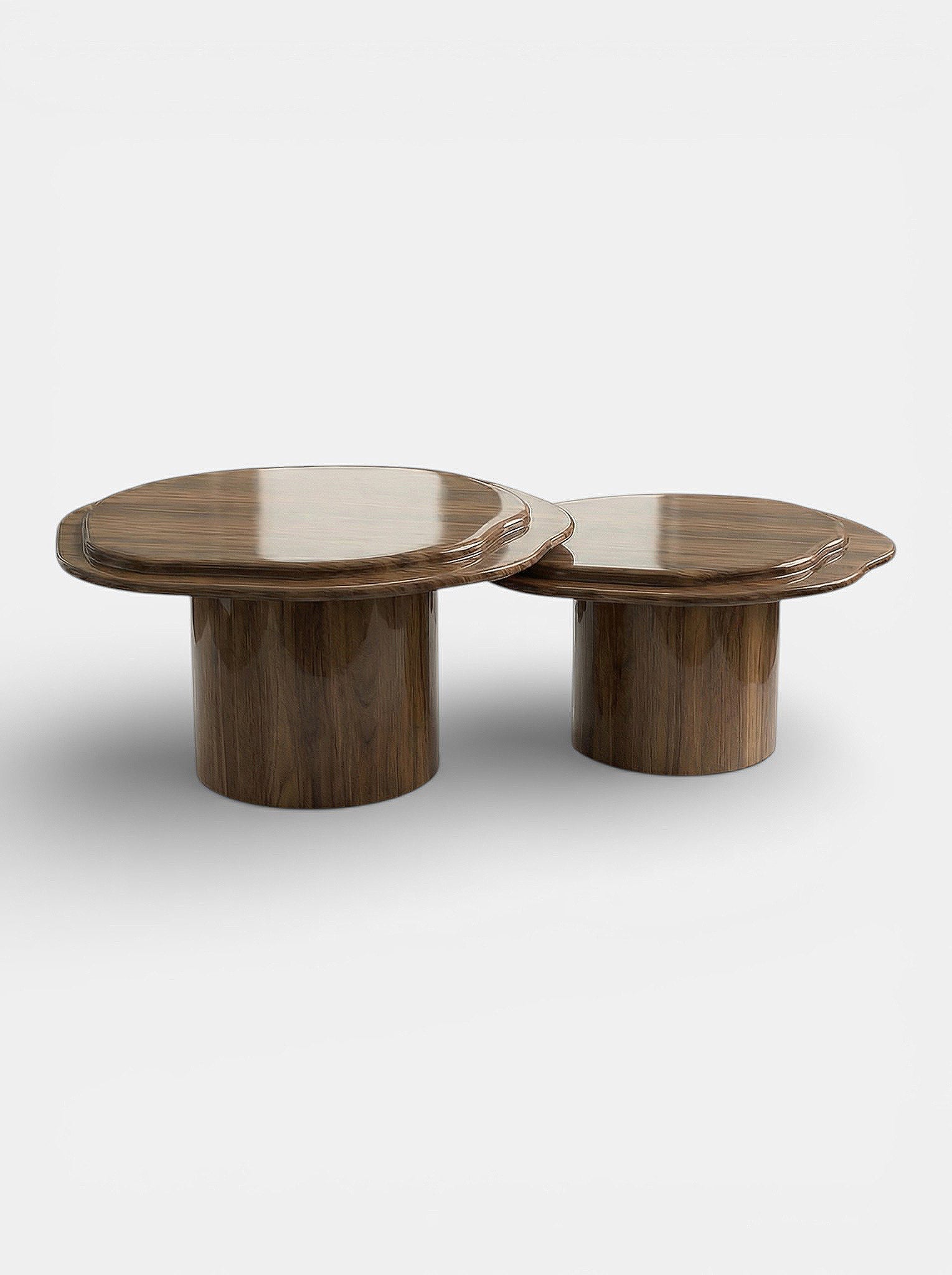 Nuga Duo coffee table in glossy wood finish, Italian luxury furniture with modern design aesthetics